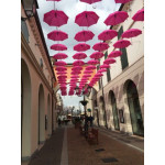 AVRUPA  201-18  KARIŞIK PROMOSYON ŞEMSİYELER,