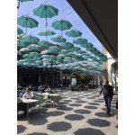 AVRUPA  201-18  KARIŞIK PROMOSYON ŞEMSİYELER,