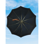 APRİL 213-G OTOMATİK BASTON TİP 10 TELLİ ERKEK ŞEMSİYESİ,