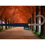 APRİL 213-G OTOMATİK BASTON TİP 10 TELLİ ERKEK ŞEMSİYESİ,