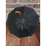 SNOTLİNE 39-G ERKEK BASTON SAP 10 TELLİ KISA ŞEMSİYE,