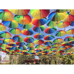 AVRUPA  201-17  KARIŞIK PROMOSYON ŞEMSİYELER,