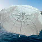 AVRUPA 801-06 GELİN ŞEMSİYELERİ,