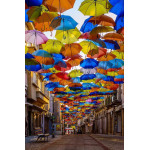 AVRUPA  201-18  KARIŞIK PROMOSYON ŞEMSİYELER,