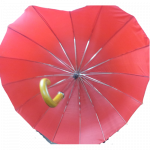 AVRUPA 301-02  KALP ŞEMSİYE