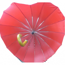 AVRUPA 301-02  KALP ŞEMSİYE