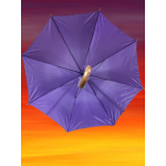 AVRUPA  201-11  PROMOSYON ŞEMSİYELER BASTON TİP MOR LİLA