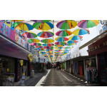 AVRUPA  201-53  GÖKKUŞAGI ŞEMSİYELER, TÖREN ŞEMSİYELERİ