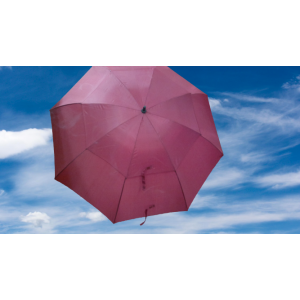 CELAL BİRSEN VALE ŞEMSİYESİ PROTOKOL ŞEMSİYESİ BORDO