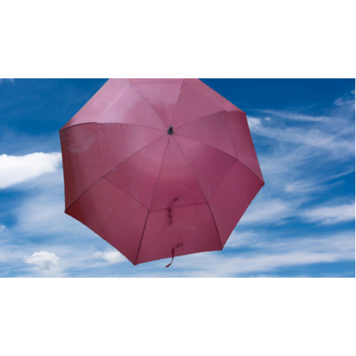 CELAL BİRSEN VALE ŞEMSİYESİ PROTOKOL ŞEMSİYESİ BORDO