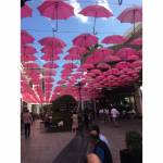 AVRUPA  201-13  PROMOSYON ŞEMSİYELER BASTON TİP PEMBE FUJYA