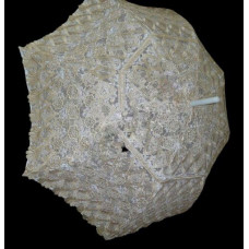 AVRUPA  601-33  GÜNEŞ ŞEMSİYELERİ