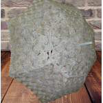 AVRUPA  601-33  GÜNEŞ ŞEMSİYELERİ