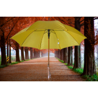 AVRUPA 201-02 PROMOSYON ŞEMSİYE SARI, AVRUPA 201-02 PROMOSYON ŞEMSİYE SARI,