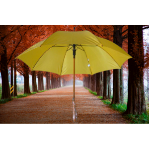 AVRUPA  201-02 PROMOSYON ŞEMSİYE SARI,