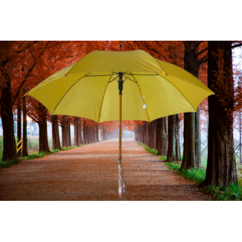 AVRUPA  201-02 PROMOSYON ŞEMSİYE SARI,