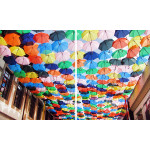 AVRUPA  201-17  KARIŞIK PROMOSYON ŞEMSİYELER,