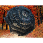 AVRUPA  801-28  ÖZEL ÜRETİM GELİN ŞEMSİYELERİ,