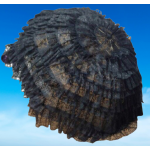 AVRUPA  801-28  ÖZEL ÜRETİM GELİN ŞEMSİYELERİ,