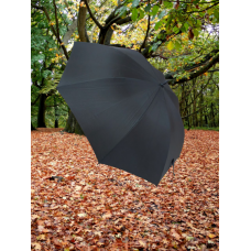 Avrupa 101-25 Vale Protokol Şemsiyesi