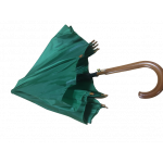 AVRUPA  201-01 PROMOSYON ŞEMSİYE YEŞİL,